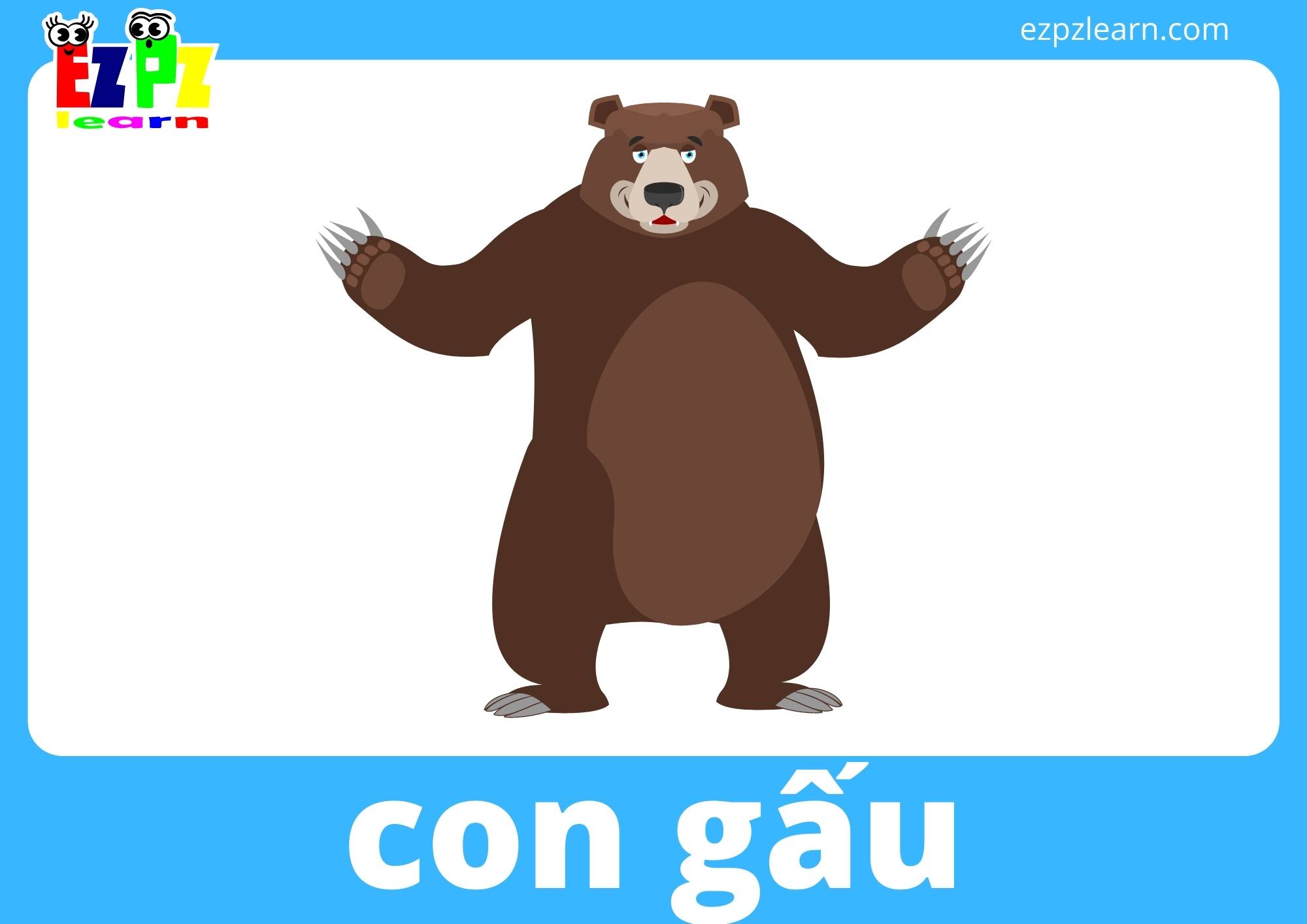 con gấu